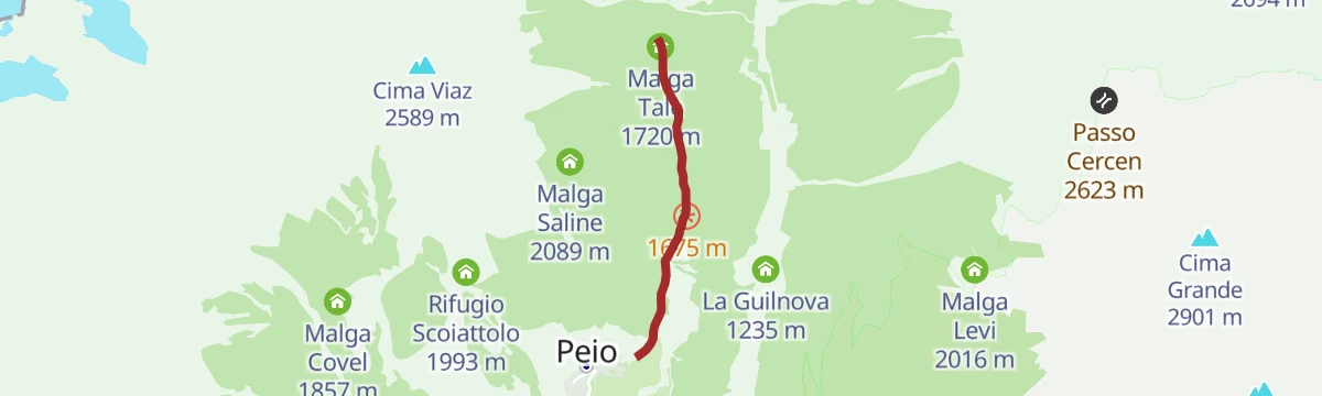 Route map: The Capercaillie Forest from Peio to Malga Talé